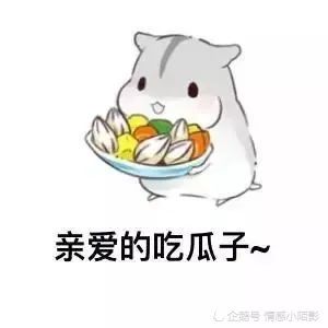 仓鼠表情包早上好吖宝宝