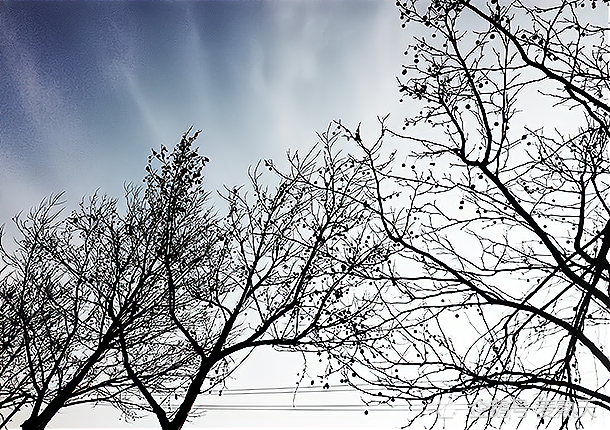 踏着落叶,走入,闪动着寒光的冬夜!