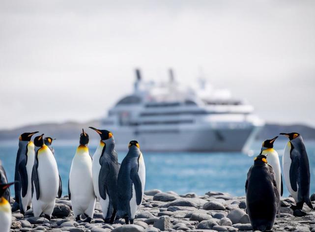 人类发现了南极0多年 南极为何却不属于任何国家 南极洲 地球