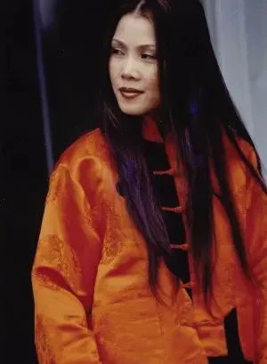 田震|她的消失，是娱乐圈的悲哀