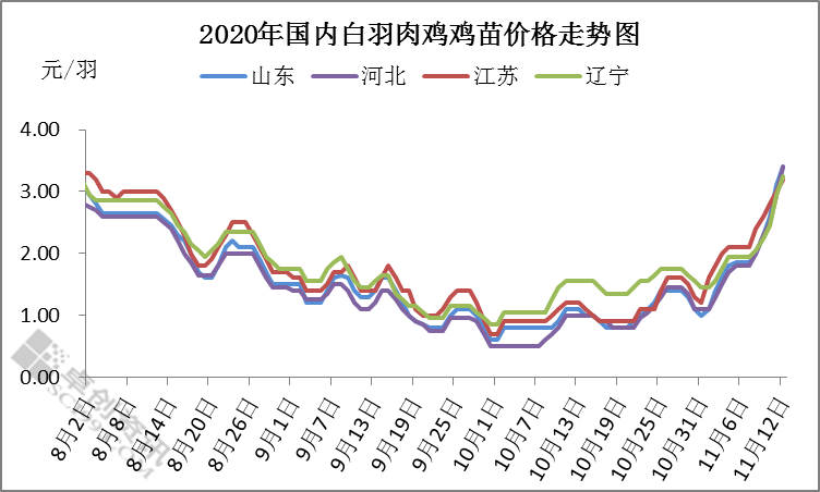 12天内鸡苗价格疯涨超150%,强势行情能持续多久?