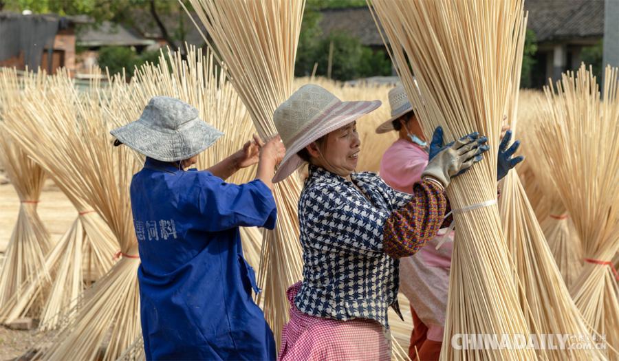 鏡頭中的中國脫貧攻堅線上圖片展之勤勞致富