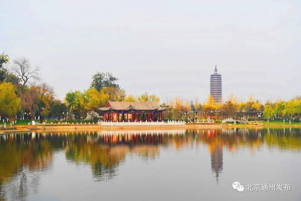 大运河森林公园|超美！城市副中心“一环”已建成6座公园！快来打卡