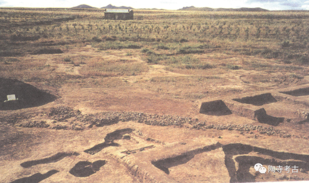 陶寺龙|《陶寺：一座圣都的前世与今生》之｜龙盘现世