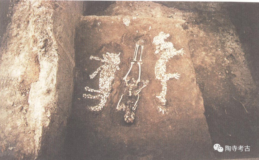 陶寺龙|《陶寺：一座圣都的前世与今生》之｜龙盘现世