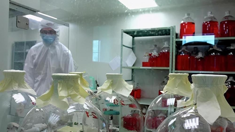 天花病毒|人类至今储存着天花病毒，世卫组织建议销毁无果，是否销毁成争议