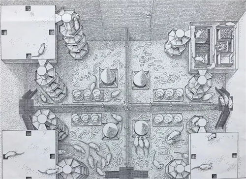 白鼠|美国将8只白鼠放进“乐园”，繁衍1588天后，科学家发现不太对劲