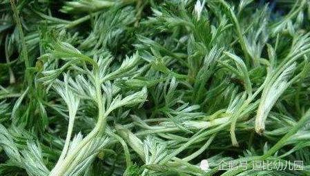 宝塔糖|以前风靡我国的宝塔糖，为啥却突然消失？瞧瞧苏联都干了什么