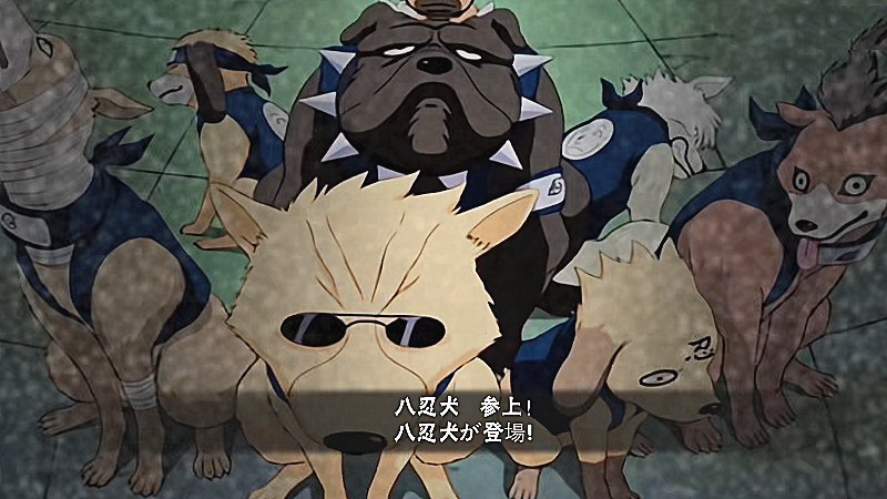 原著里由卡卡西召唤出来,一共有八只狗,嗅觉十分灵敏,每次都会帮助