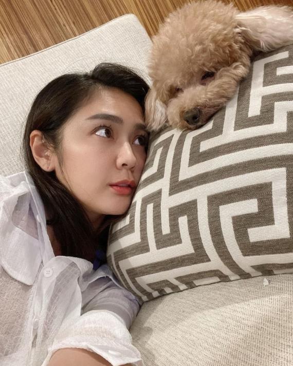 曝吴宗宪疑似出轨安苡爱两人同游再次被拍曾自称为爱狗的男女