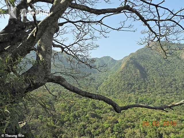 波巴叶猴|超萌！缅甸发现濒危新物种“波巴叶猴” 白眼圈长尾巴 全球仅剩250只