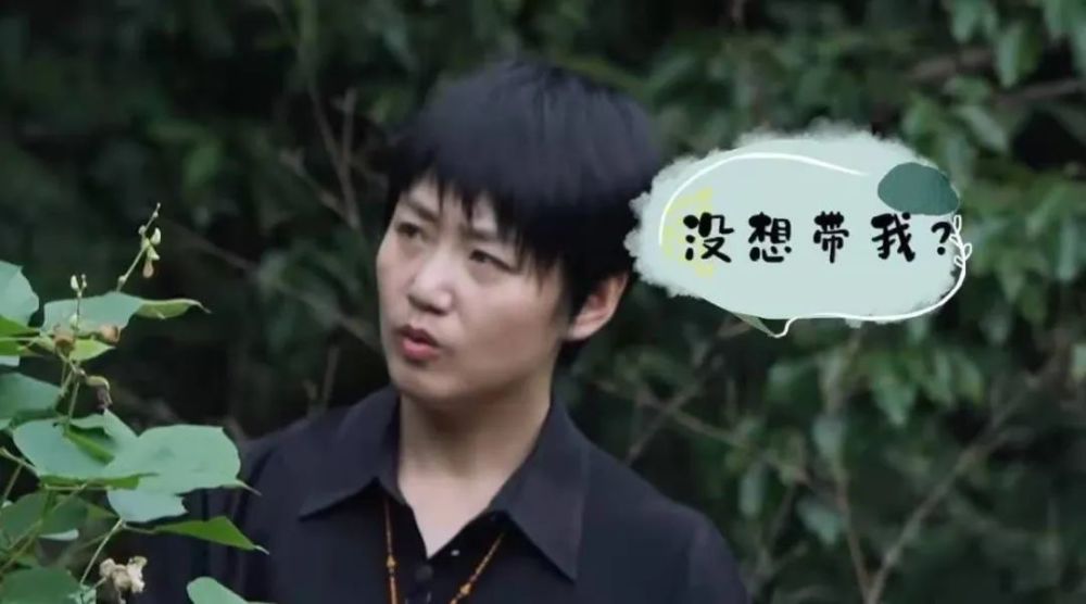 吴京|贵圈｜这档热门综艺道出婚姻真相：小女人真没那么好当