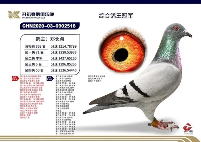 两羽超级种鸽让他在开尔赢取千万奖金