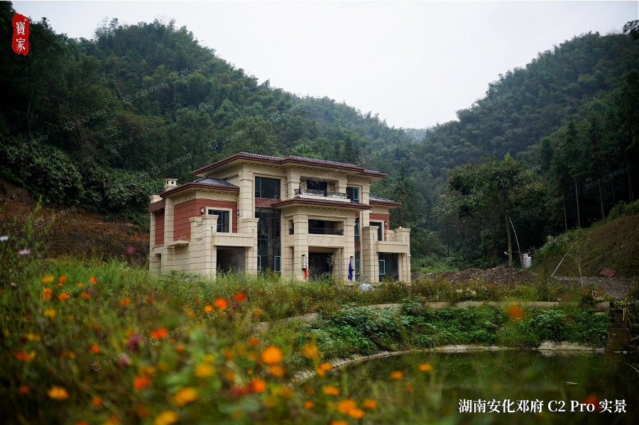 看完这17个乡村别墅实景万万没想到现在的农村长这样