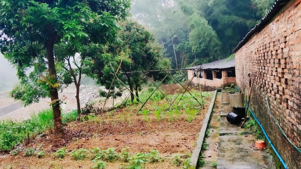 农村宅基地|农村宅基地不只本村村民可用，户口对宅基地使用权有重要影响？