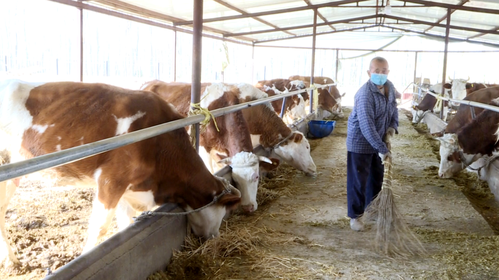 库车市:创业致富带头人:热孜亚木·买买提