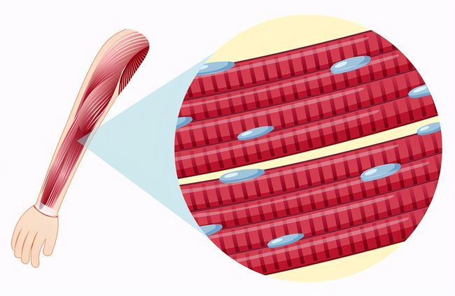 手劲竟与糖尿病风险相关 来掰个手腕儿试试 腾讯新闻
