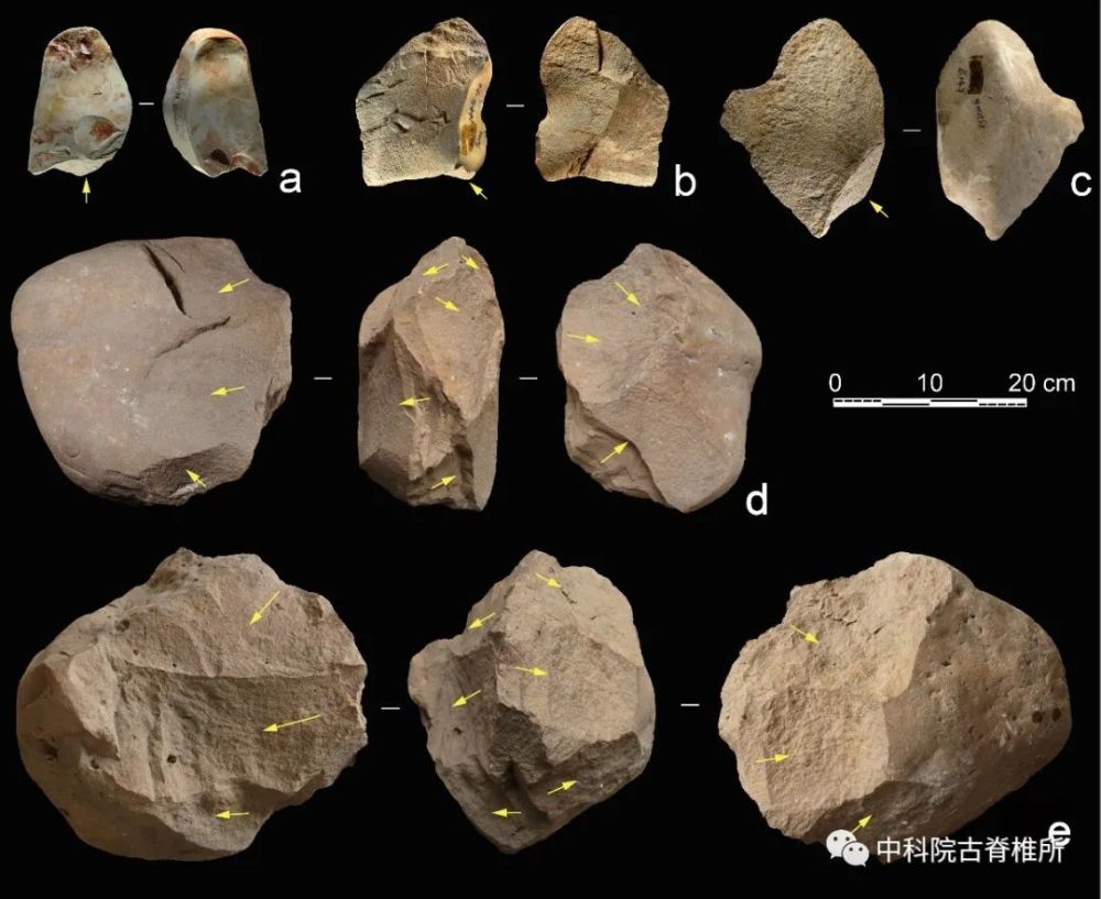 图1 百色盆地的大石片和大型石核标本,黄色箭头指示打击方向图2 百色