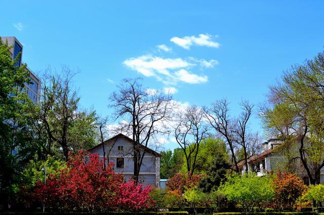 本科|北京语言大学怎么样，到底好不好
