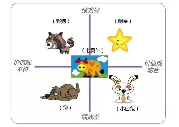 为什么明明努力了却还是原地踏步?