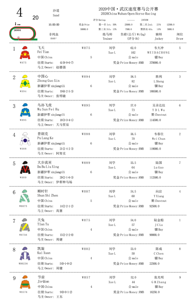 赛事资料友好城市赛马日赛事排位表