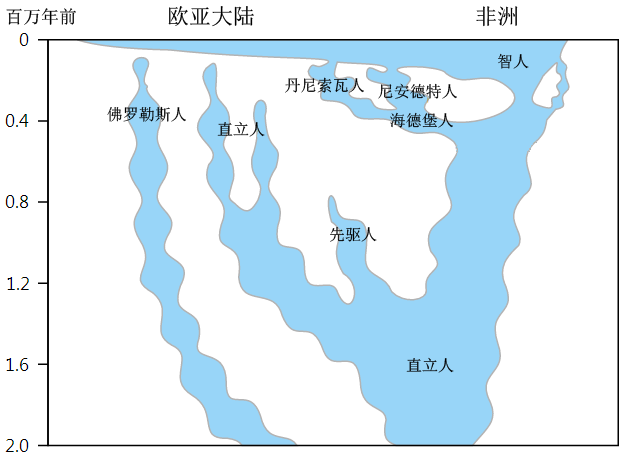 尼安德特人|尼安德特人也是祖先，他们比猩猩、猴子聪明，为何还是灭绝了？