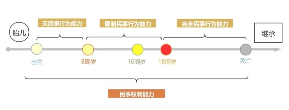 民法典第13条第56条总则自然人