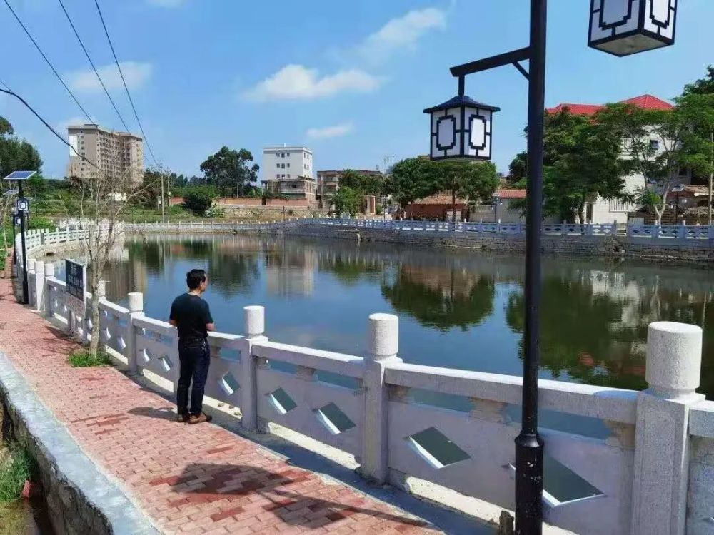 兴村重改革看三治融合晋江内坑镇黎山村探索乡村治理新模式