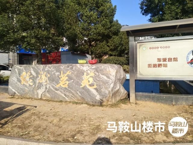 7600元/㎡！交付4年，马鞍山这家楼盘突然炸出一批保留房源