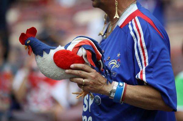 高卢|全世界用鸟作为国旗的国家，其中一个是世界霸主，其实我国也有