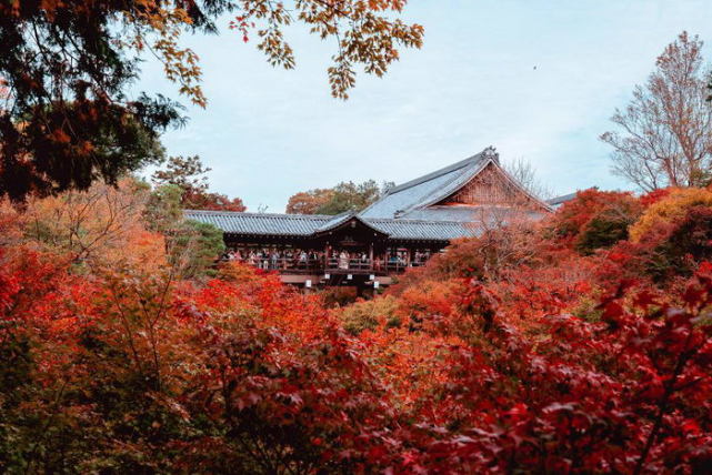 神奇京都日本最有趣的城市 京都 日本 旅游 古迹 摄影师