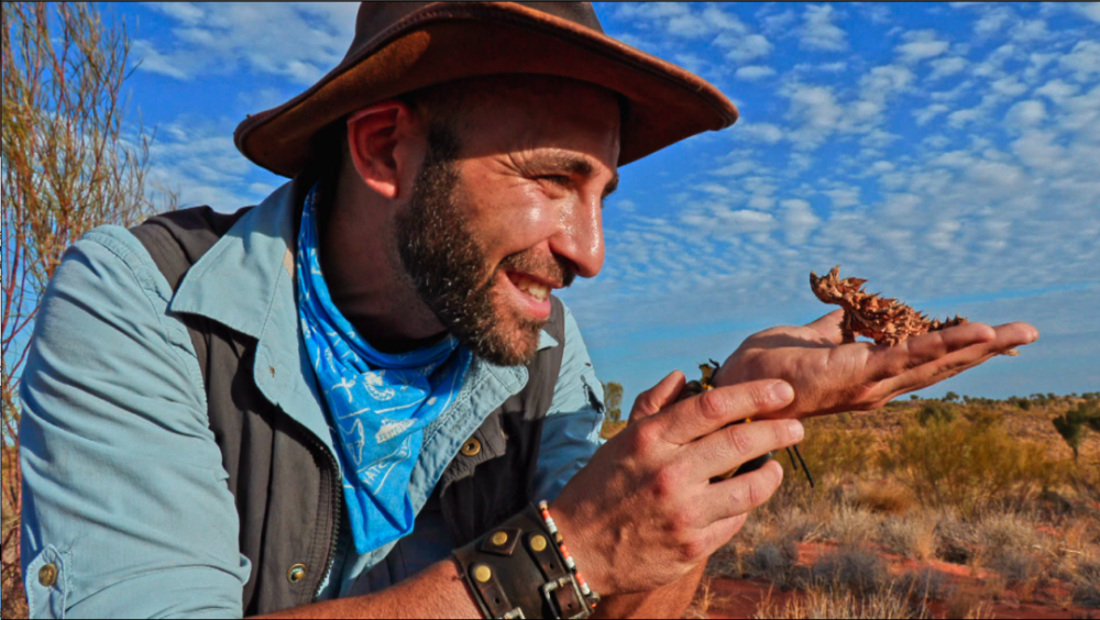 浑身长刺的沙漠生存高手