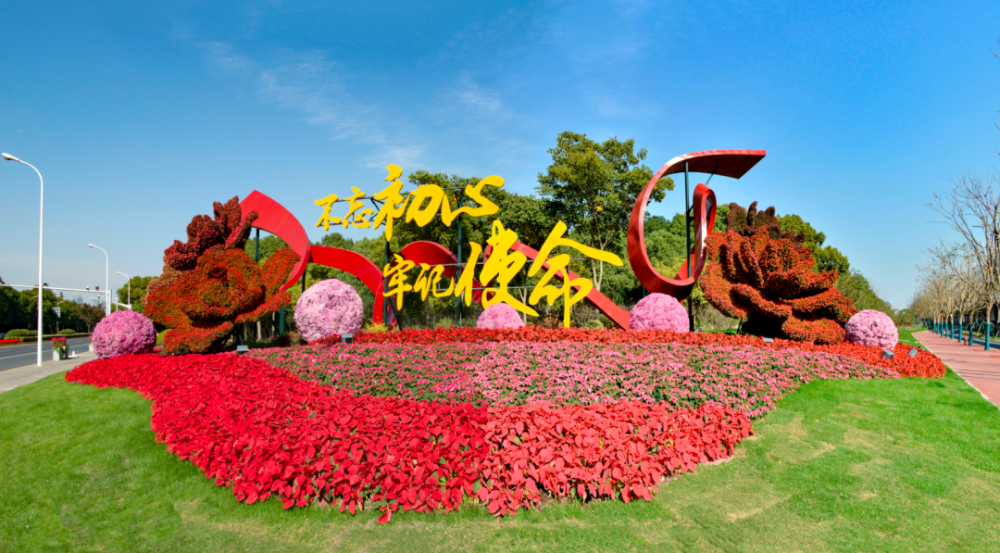 红枫如何播种