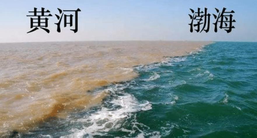 淡水鱼没法在海水里存活,黄河每天大量鱼进入大海,鱼都去哪了?