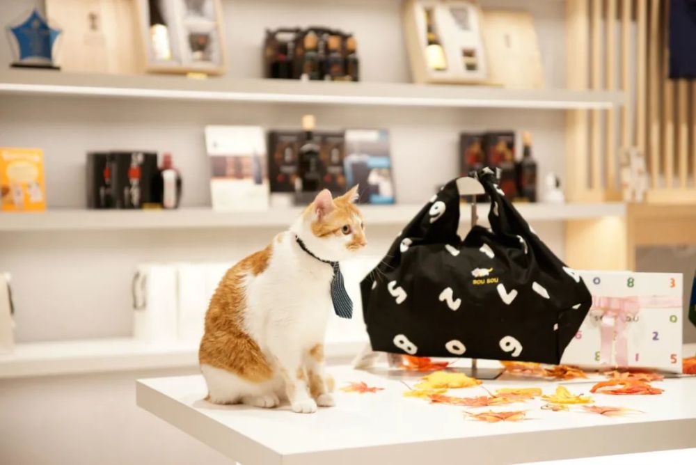 圣诞季开启 魔都的精彩活动应接不暇 腾讯新闻