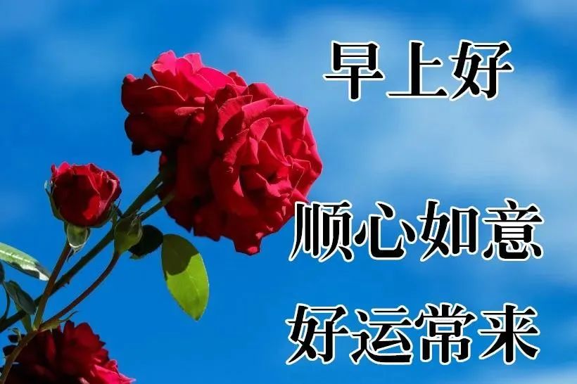 早上好帶字圖片漂亮的早晨好祝福句子早安我的朋友們