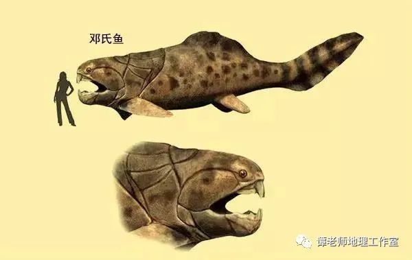 地理视野 五次生物大灭绝事件是什么 地球是否正处于第六次大灭绝当中 腾讯新闻