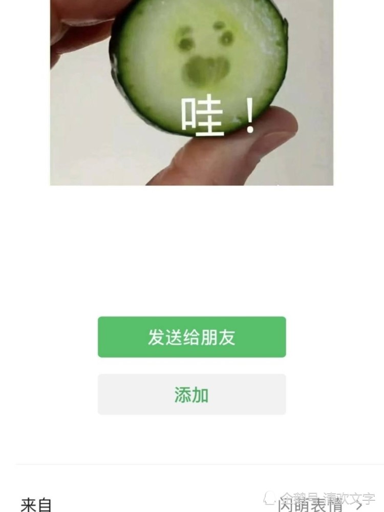 喊着讨厌却随时不忘cue,黄瓜表情包"原创"肖战黑粉被扒撒谎大言不惭