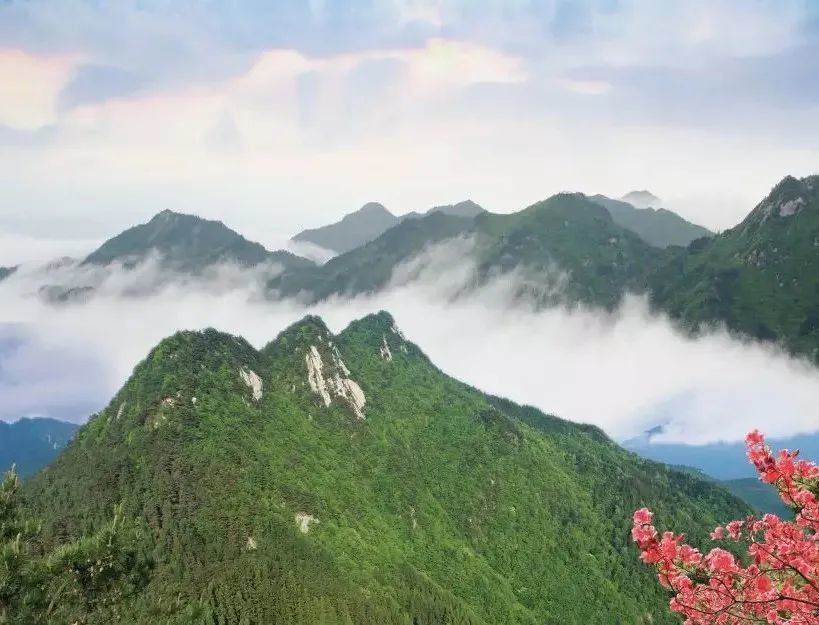 中國艾都,養生蘄春蘄春是明代偉大中醫藥學家李時珍的故里,境內文物