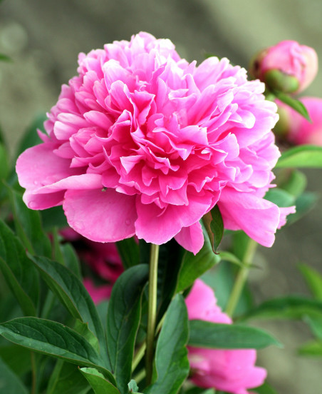 11月中旬 紫气东来 真爱找上门 八方得财 钞票堆成山的4星座 腾讯新闻