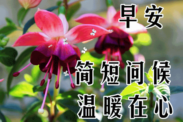 寒冷冬季早安圖片帶字早上好陽光勵志問候祝福語