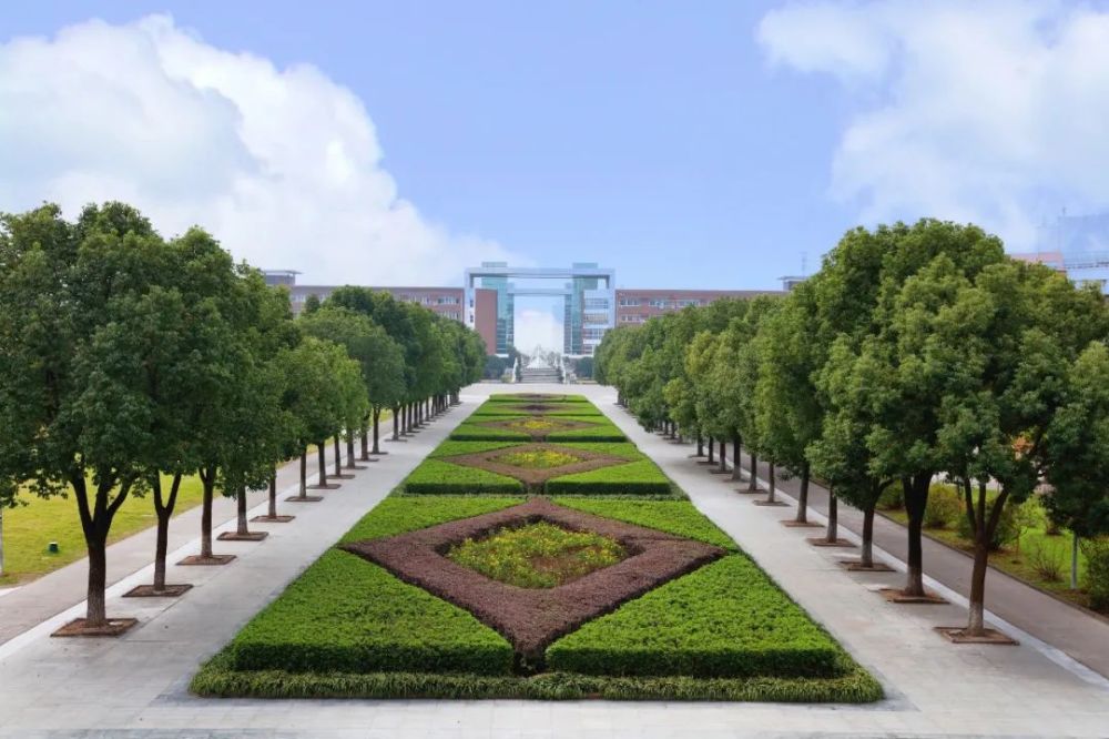 2020宁波大学研究生_宁波大学2020年美术类专业本科招生简章