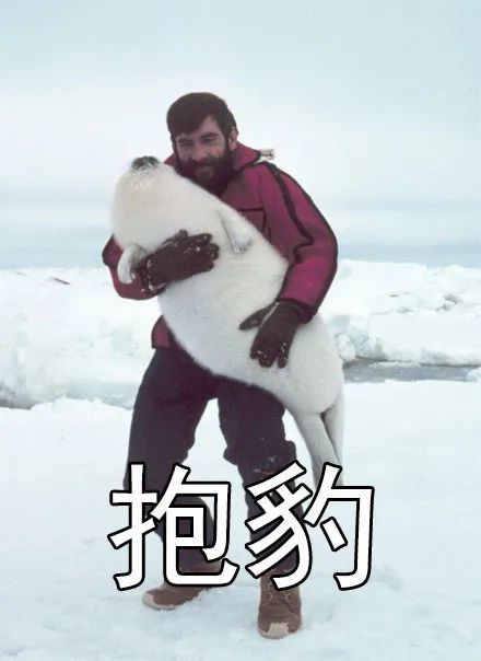 表情包豹富可以有