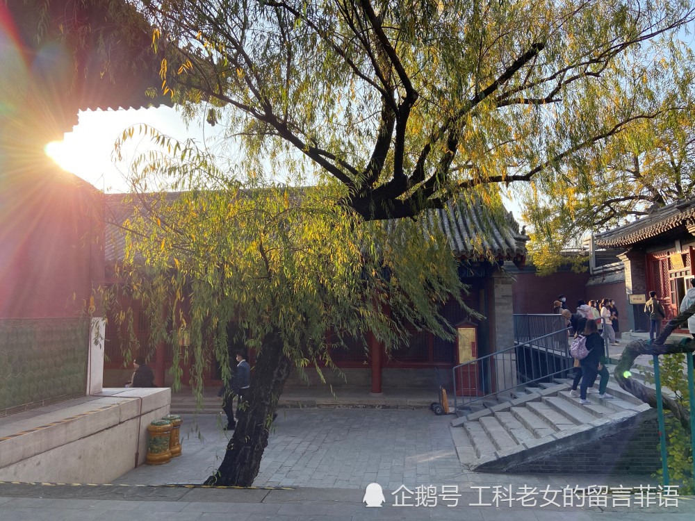 雍和宫|雍和宫之一缕夕阳照进佛堂