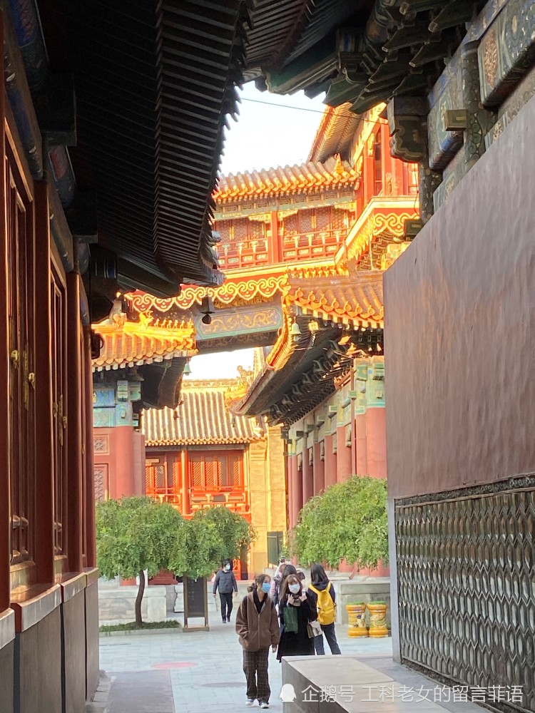 雍和宫|雍和宫之一缕夕阳照进佛堂