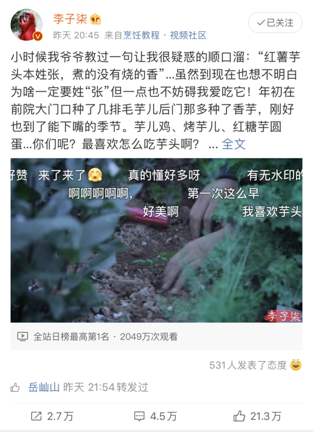 李子柒家的芋头熟了 吸引00万人围观 小芋头也能如此精致 李子柒 芋头 红薯 小芋头