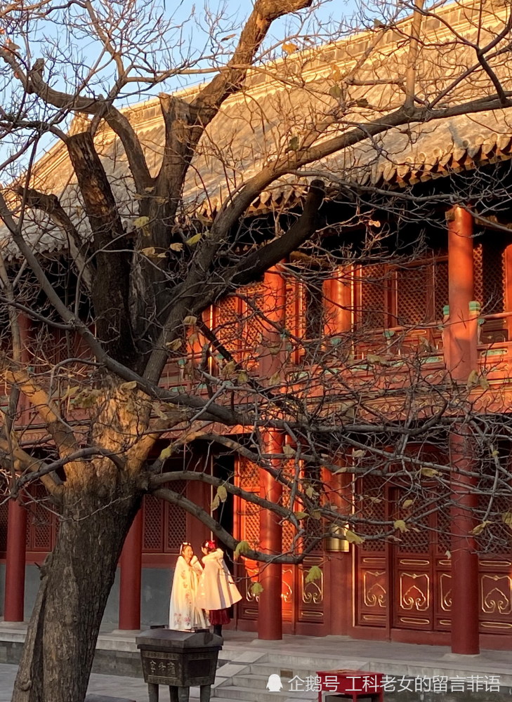 雍和宫|雍和宫之一缕夕阳照进佛堂