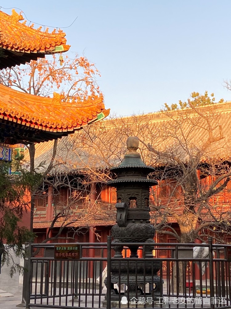 雍和宫|雍和宫之一缕夕阳照进佛堂