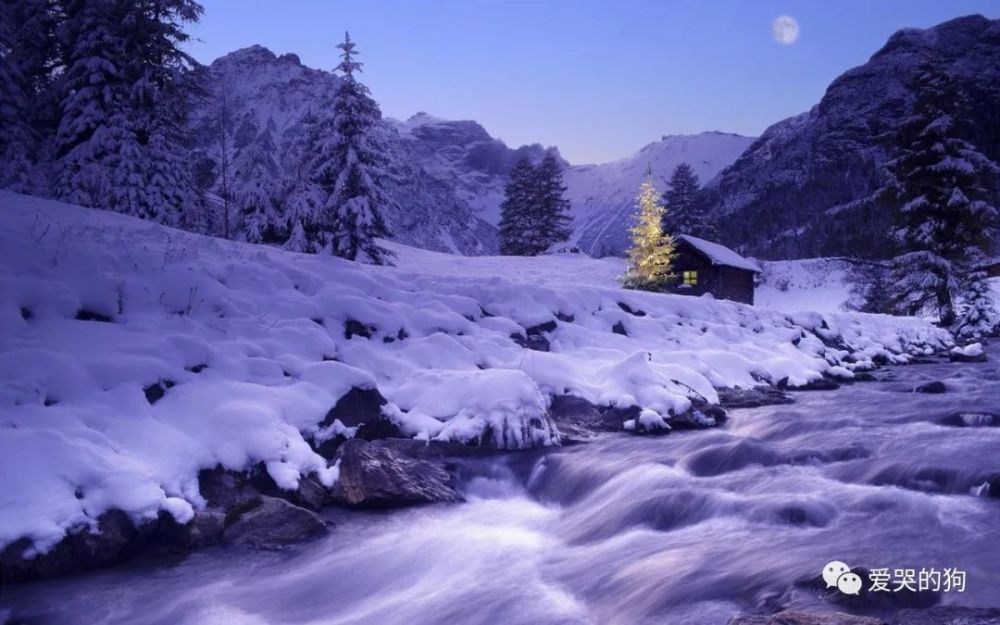 竹子|夜里下了一场很大的雪，白居易根本没有看到雪，却写下一首咏雪诗