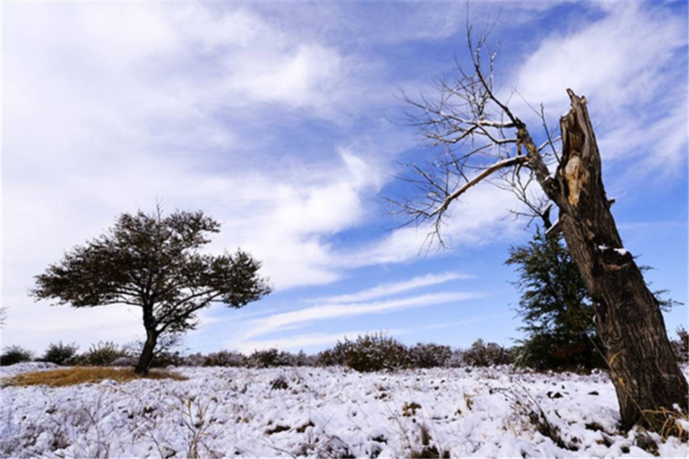 拉尼娜|拉尼娜出现反弹？持续到冬季的概率大大增加，我国南方会下雪吗？